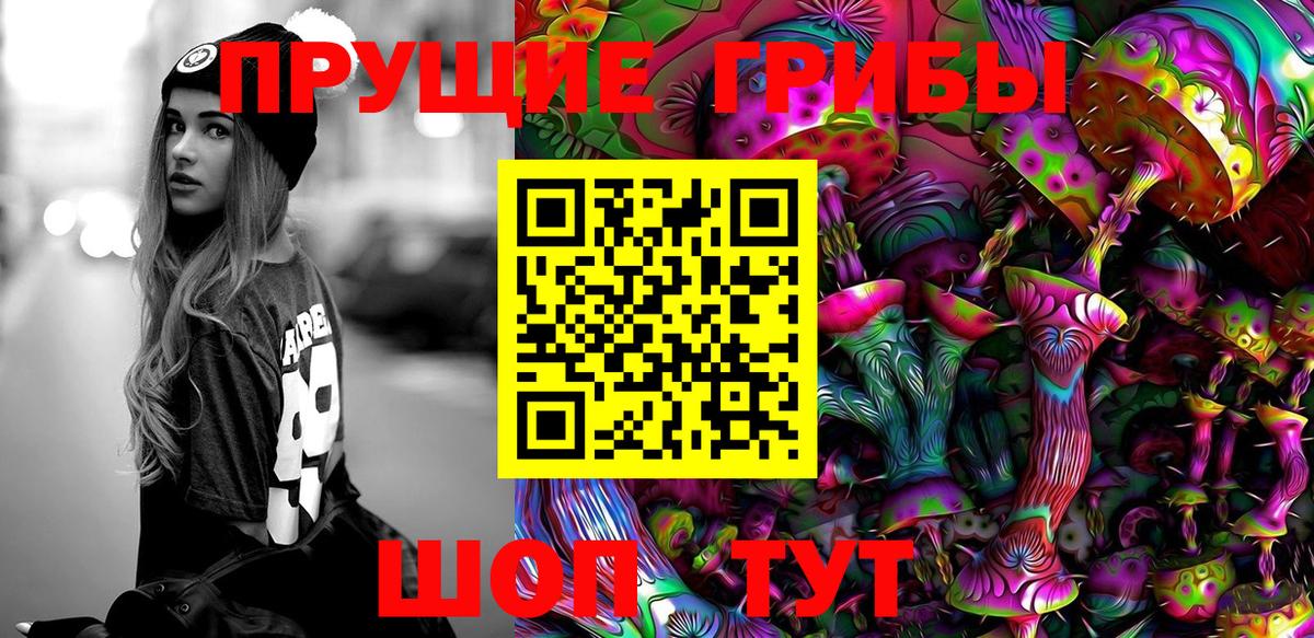 продажа наркотиков  Вход с VPN  Камышин  Галлюциногенные грибы ЛСД 